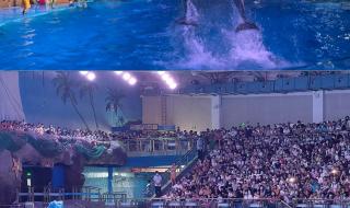 大连旅游一日游攻略 大连旅游一日游攻略