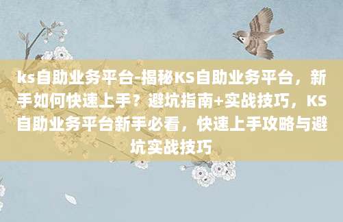 ks自助业务平台-揭秘KS自助业务平台,新手如何快速上手?避坑指南+实战技巧,KS自助业务平台新手必看,快速上手攻略与避坑实战技巧