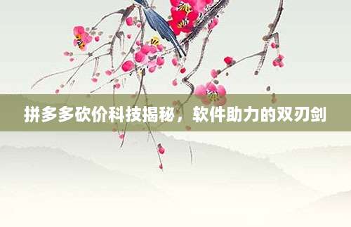 拼多多砍价科技揭秘,软件助力的双刃剑