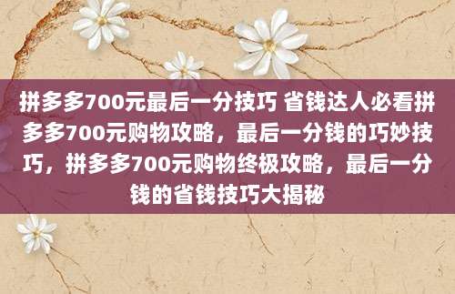 拼多多700元最后一分技巧 省钱达人必看拼多多700元购物攻略,最后一分钱的巧妙技巧,拼多多700元购物终极攻略,最后一分钱的省钱技巧大揭秘