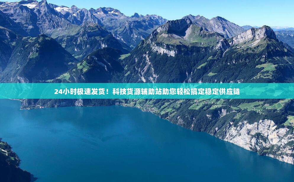 24小时极速发货!科技货源辅助站助您轻松搞定稳定供应链