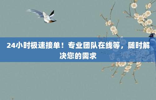 24小时极速接单!专业团队在线等,随时解决您的需求