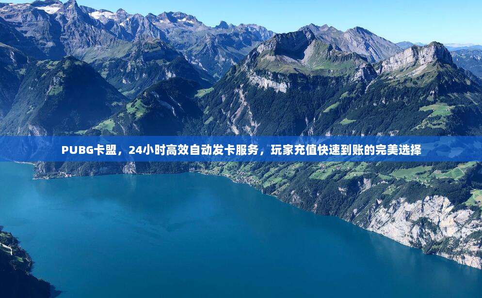 PUBG卡盟，24小时高效自动发卡服务，玩家充值快速到账的完美选择