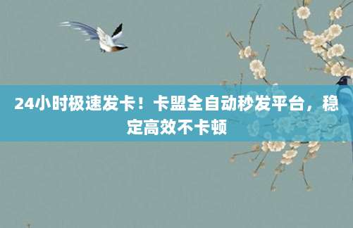 24小时极速发卡!卡盟全自动秒发平台,稳定高效不卡顿