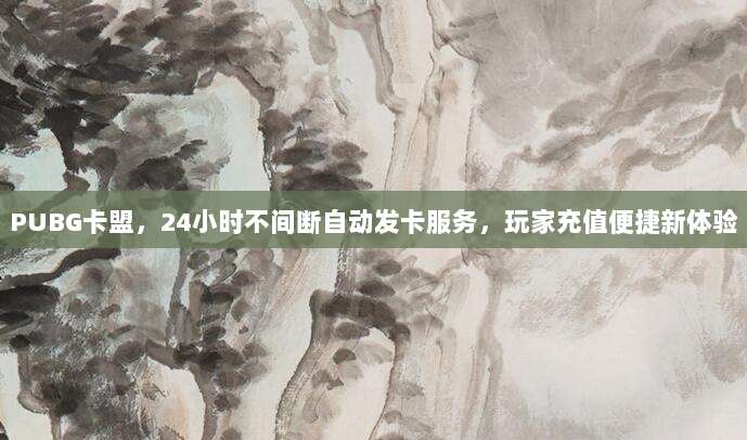 PUBG卡盟,24小时不间断自动发卡服务,玩家充值便捷新体验