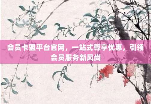 会员卡盟平台官网,一站式尊享优惠,引领会员服务新风尚