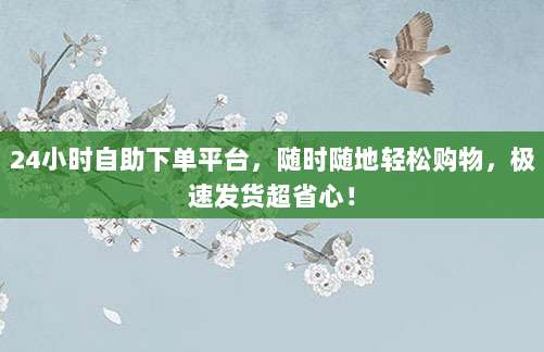 24小时自助下单平台，随时随地轻松购物，极速发货超省心！