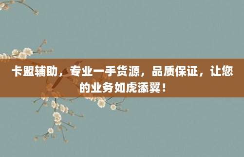 卡盟辅助,专业一手货源,品质保证,让您的业务如虎添翼!