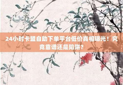 24小时卡盟自助下单平台低价真相曝光!究竟靠谱还是陷阱?