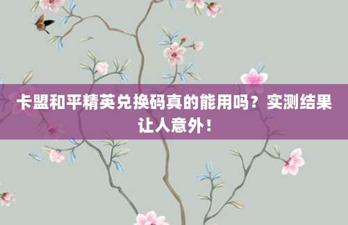 卡盟和平精英兑换码真的能用吗?实测结果让人意外!