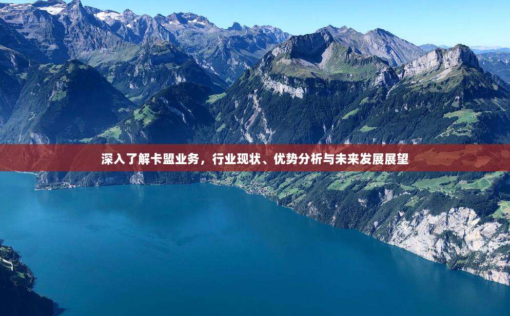 深入了解卡盟业务，行业现状、优势分析与未来发展展望