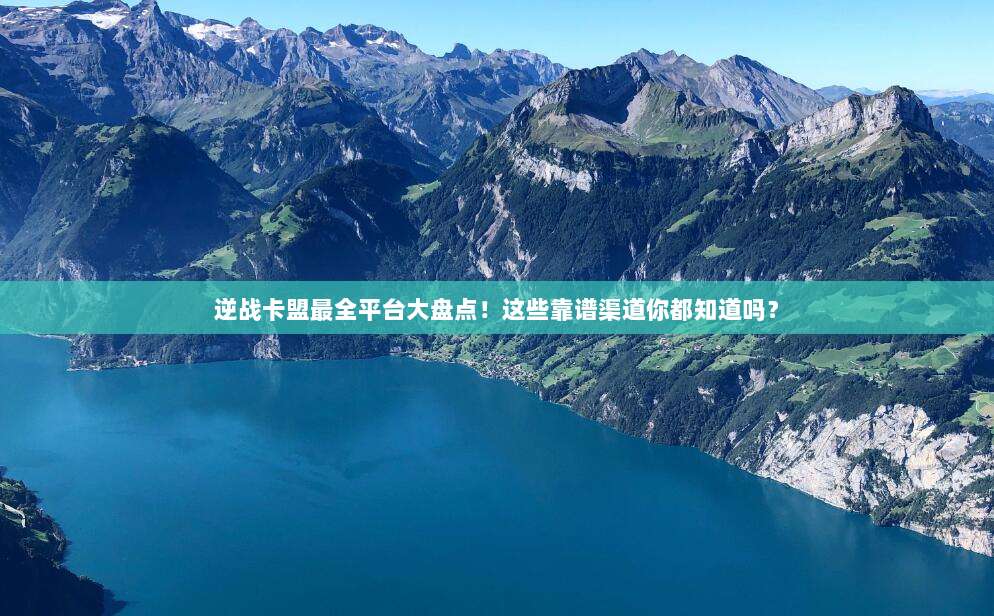 逆战卡盟最全平台大盘点!这些靠谱渠道你都知道吗?