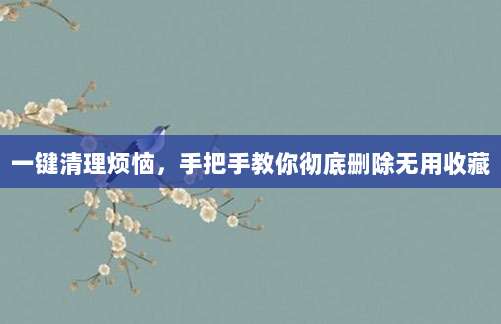 一键清理烦恼,手把手教你彻底删除无用收藏