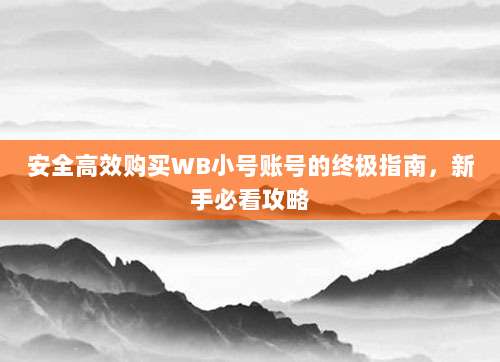 安全高效购买WB小号账号的终极指南,新手必看攻略