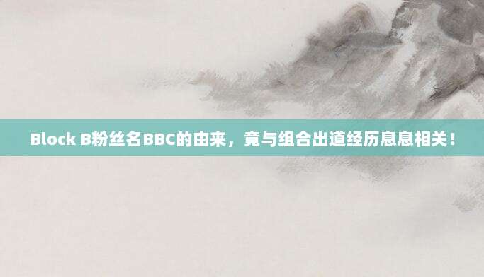 Block B粉丝名BBC的由来,竟与组合出道经历息息相关!
