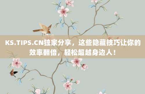 KS.TIPS.CN独家分享，这些隐藏技巧让你的效率翻倍，轻松超越身边人！
