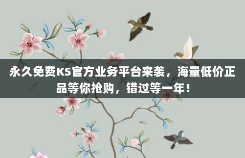 永久免费KS官方业务平台来袭,海量低价正品等你抢购,错过等一年!