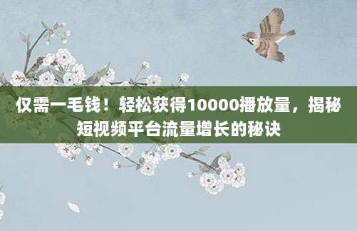 仅需一毛钱!轻松获得10000播放量,揭秘短视频平台流量增长的秘诀