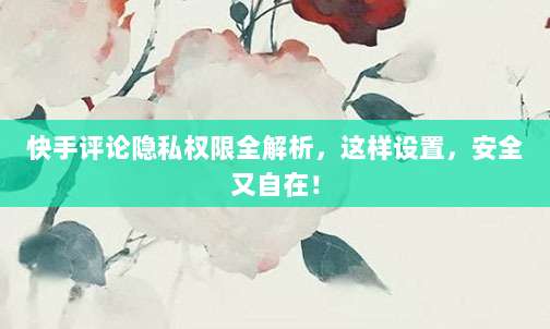 快手评论隐私权限全解析,这样设置,安全又自在!