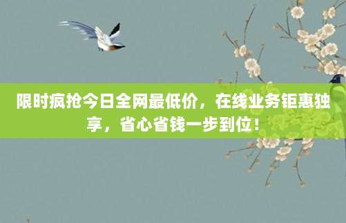 限时疯抢今日全网最低价，在线业务钜惠独享，省心省钱一步到位！