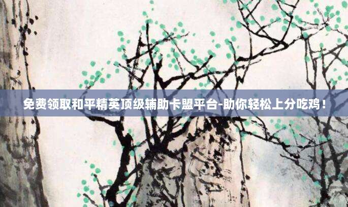 免费领取和平精英顶级辅助卡盟平台-助你轻松上分吃鸡!