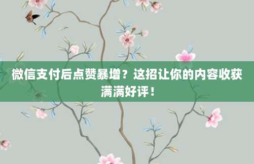 微信支付后点赞暴增?这招让你的内容收获满满好评!