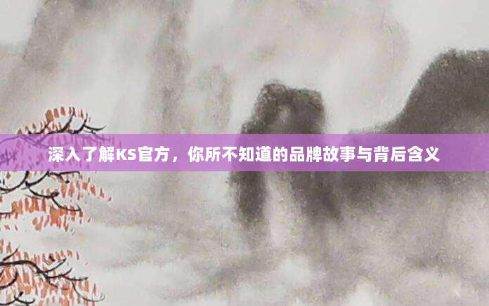 深入了解KS官方,你所不知道的品牌故事与背后含义