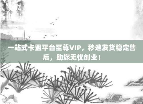 一站式卡盟平台至尊VIP,秒速发货稳定售后,助您无忧创业!