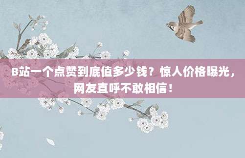 B站一个点赞到底值多少钱?惊人价格曝光,网友直呼不敢相信!