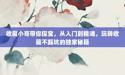 收藏小哥带你探宝，从入门到精通，玩转收藏不踩坑的独家秘籍