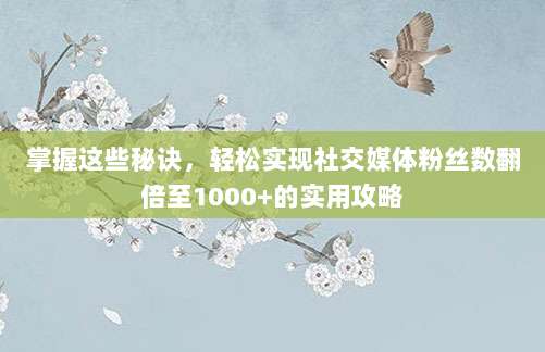 掌握这些秘诀,轻松实现社交媒体粉丝数翻倍至1000+的实用攻略