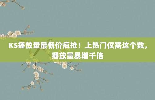 KS播放量最低价疯抢!上热门仅需这个数,播放量暴增千倍