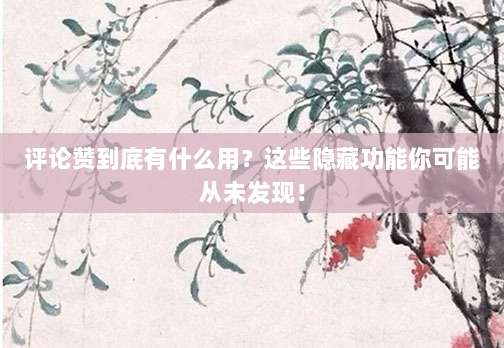 评论赞到底有什么用?这些隐藏功能你可能从未发现!