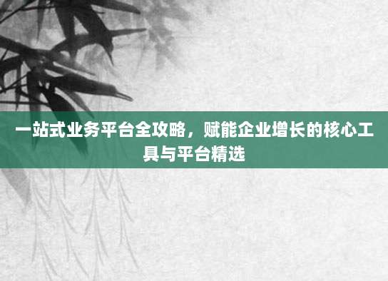 一站式业务平台全攻略，赋能企业增长的核心工具与平台精选