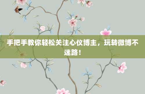 手把手教你轻松关注心仪博主,玩转微博不迷路!