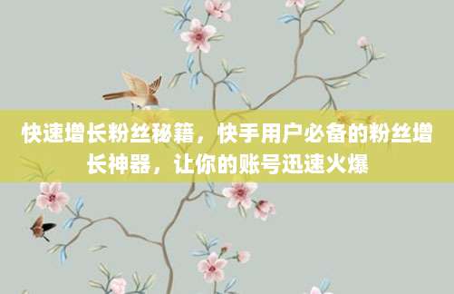 快速增长粉丝秘籍,快手用户必备的粉丝增长神器,让你的账号迅速火爆