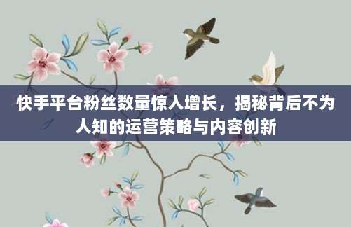 快手平台粉丝数量惊人增长,揭秘背后不为人知的运营策略与内容创新
