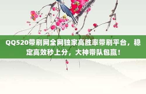 QQ520带刷网全网独家高胜率带刷平台,稳定高效秒上分,大神带队包赢!