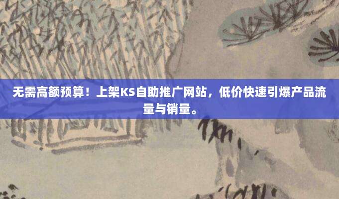 无需高额预算！上架KS自助推广网站，低价快速引爆产品流量与销量。