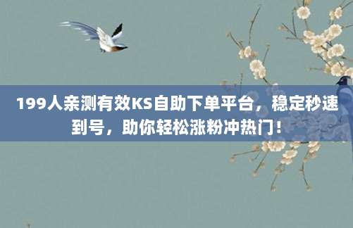 199人亲测有效KS自助下单平台,稳定秒速到号,助你轻松涨粉冲热门!
