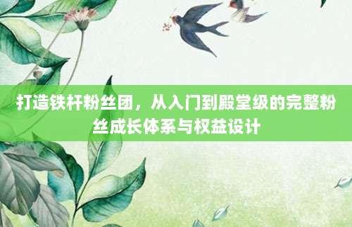 打造铁杆粉丝团，从入门到殿堂级的完整粉丝成长体系与权益设计