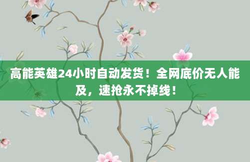 高能英雄24小时自动发货!全网底价无人能及,速抢永不掉线!