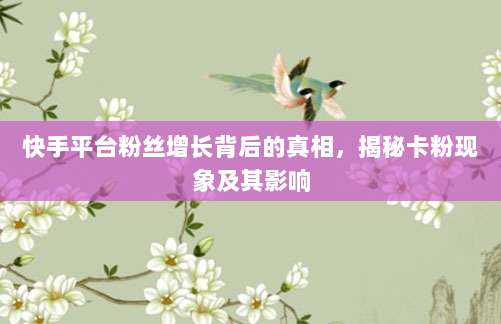 快手平台粉丝增长背后的真相，揭秘卡粉现象及其影响