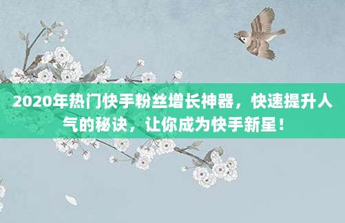 2020年热门快手粉丝增长神器,快速提升人气的秘诀,让你成为快手新星!