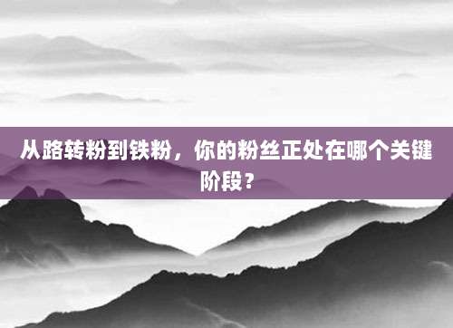 从路转粉到铁粉,你的粉丝正处在哪个关键阶段?