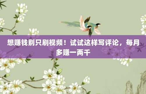 想赚钱别只刷视频!试试这样写评论,每月多赚一两千