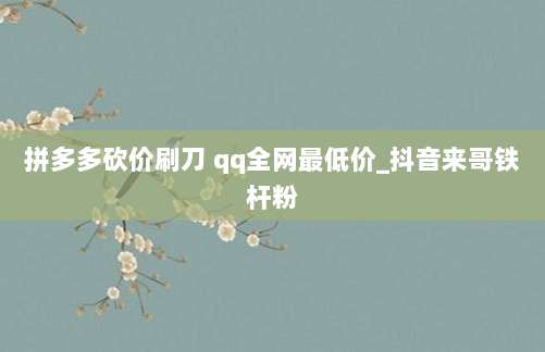 拼多多砍价刷刀 qq全网最低价_抖音来哥铁杆粉
