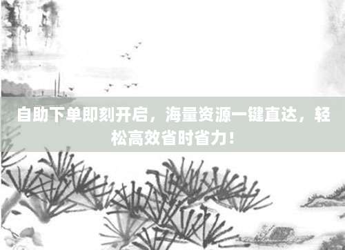 自助下单即刻开启,海量资源一键直达,轻松高效省时省力!