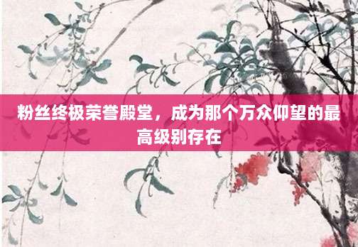 粉丝终极荣誉殿堂,成为那个万众仰望的最高级别存在