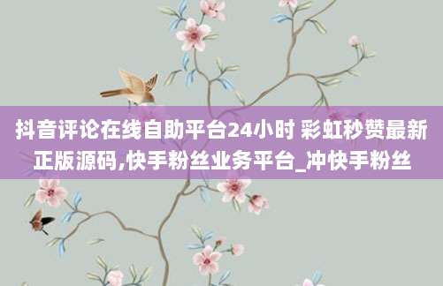 抖音评论在线自助平台24小时 彩虹秒赞最新正版源码,快手粉丝业务平台_冲快手粉丝